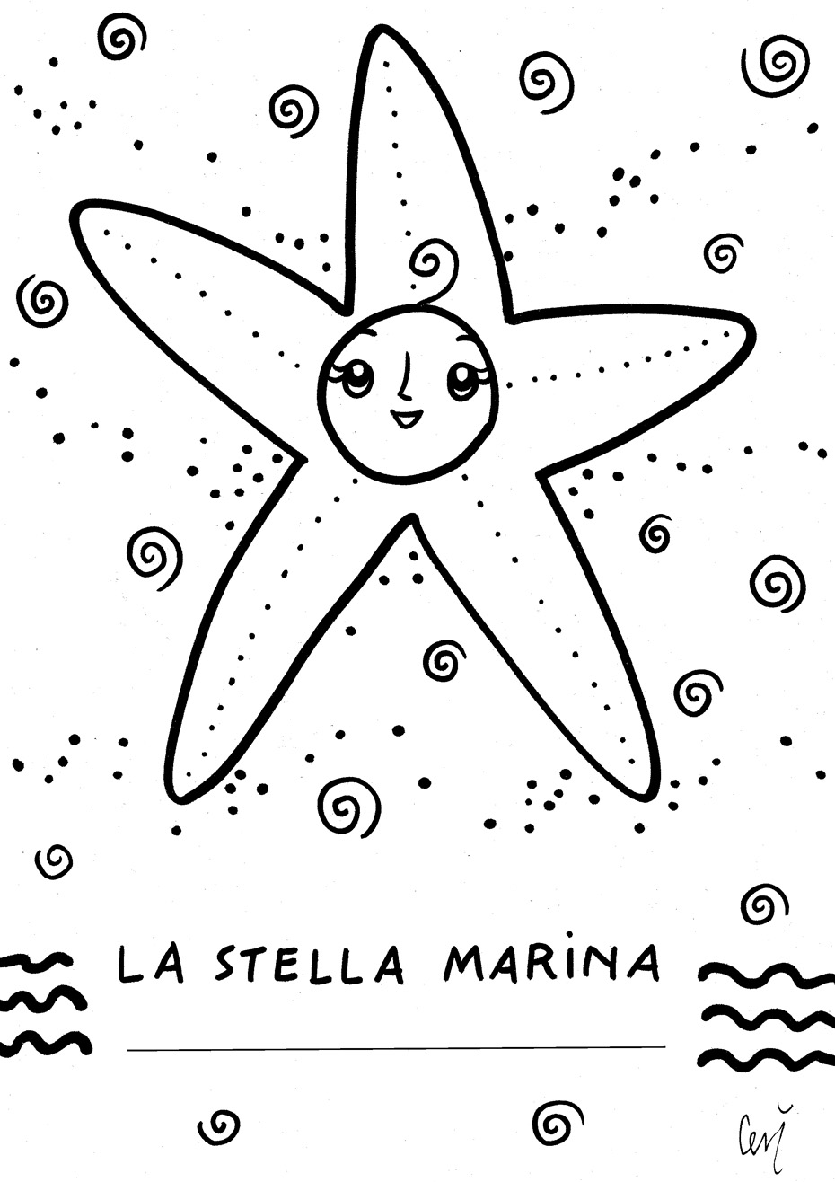 la stella marina